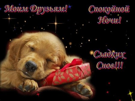 Открытки спокойной ночи друзья