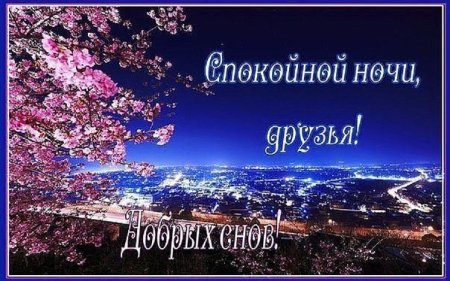 Спокойной ночи друзья до завтра