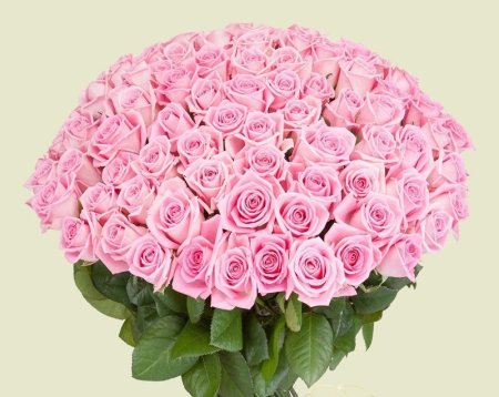 Красивый букет роз