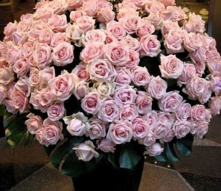 Открытки с днём рождения огромные букеты