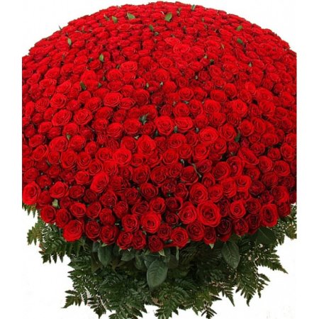 Огромный букет