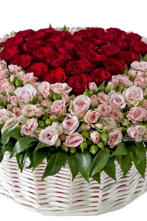 Красивые поздравления с днем рождения