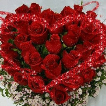 Шикарный букет роз для любимой