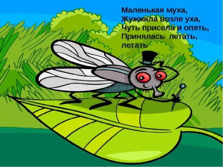 Мошка жужжит