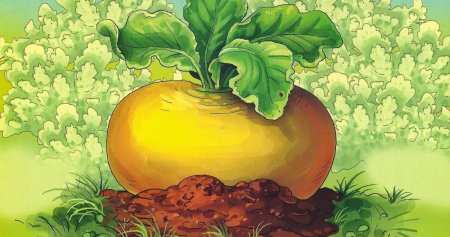 Репка иллюстрации