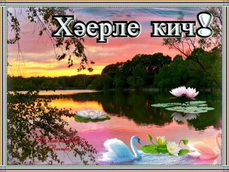 Торыгыз картинки