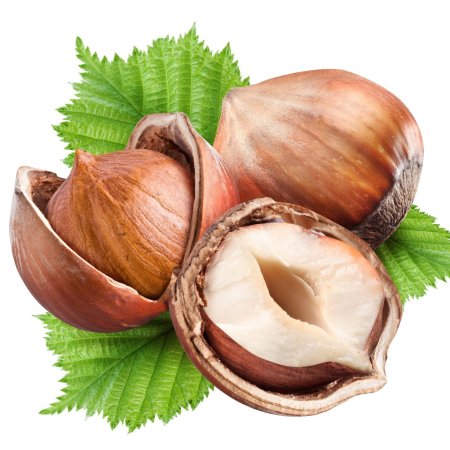 Фундук Трапезунд