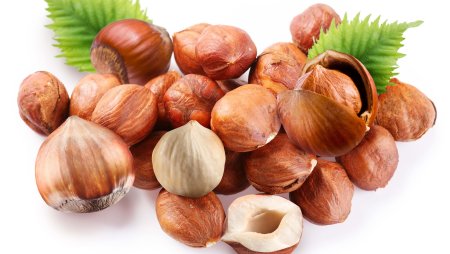 Лесной орех (Hazelnut)