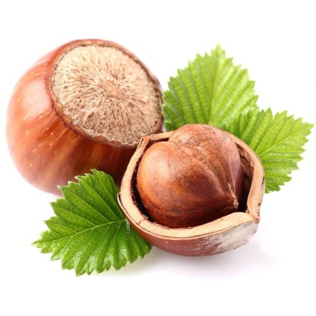 Лесной орех (Hazelnut)