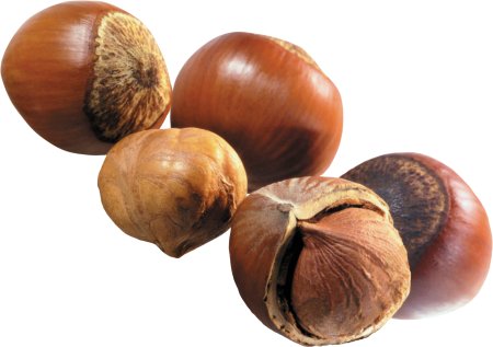 Орехи на прозрачном фоне