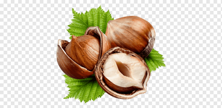 Орехи на белом фоне