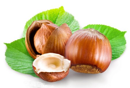 Фундук на белом фоне