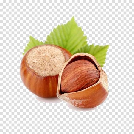 Орех фундук