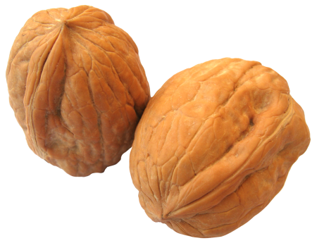 Орехи без фона