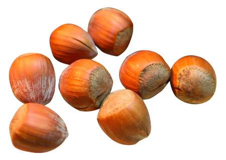 Лесные орешки