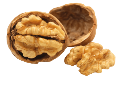 Дио грецкий орех