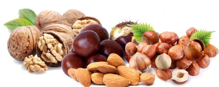 Орехи на белом фоне