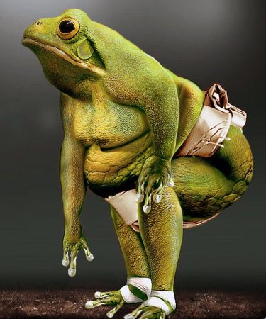 Лягушка жабка