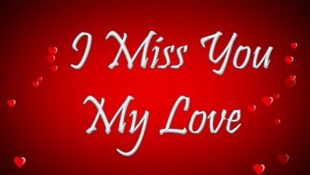I Miss you my Love
