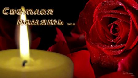 Скорбим и соболезнуем