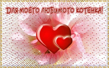 Открытки для любимого люблю тебя