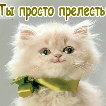 Ты прелесть