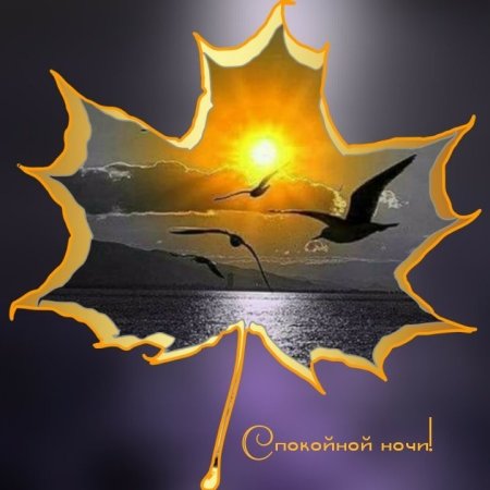 Спокойной ночи осенней ночи