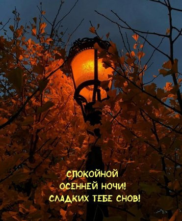 Спокойной но ЧС И осенние