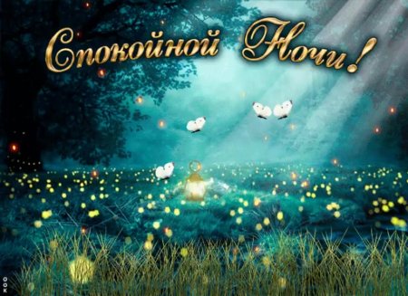 Спокойной мартовской ночи