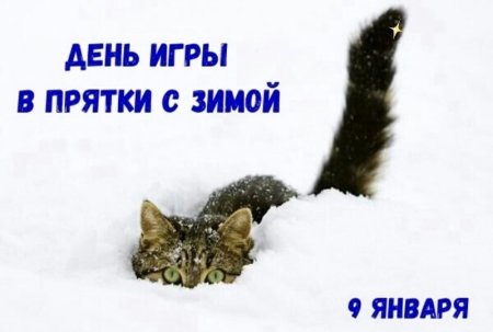 Января - день игры в ПРЯТКИ С зимой