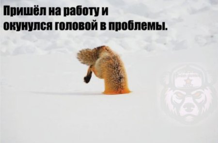 Смешные поздравления с первым рабочим днем