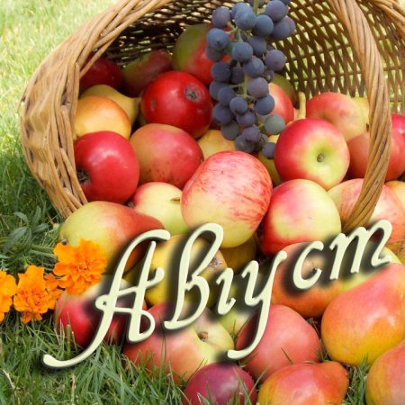 Август надпись красивая