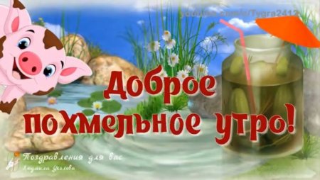 Пожелания с добрым утром с похмелья