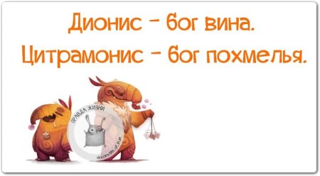 Смешные высказывания о похмелье