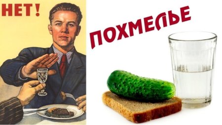 Опохмелись картинки