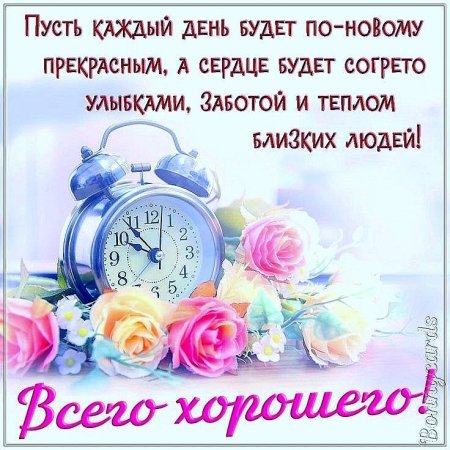 Стильные поздравления с добрым утром