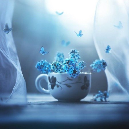 Доброе утро с высказываниями