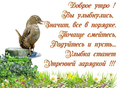 Пожелания с добрым утром с птичками