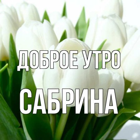 Доброе утро Оленька