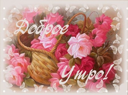 Доброе утречко Олечка
