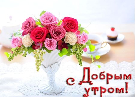 Доброе утро Олечка