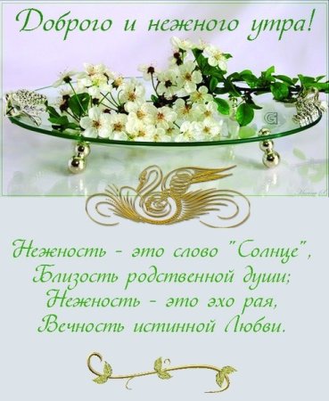 Доброе утро Оленька
