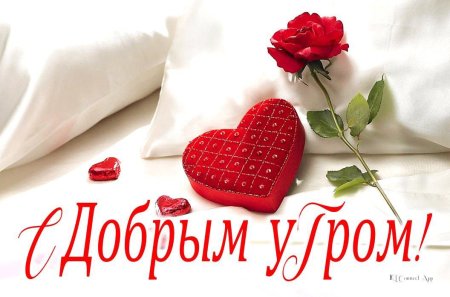 Доброе утро Олечка