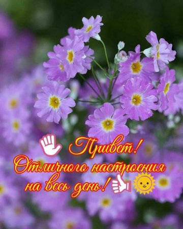 С добрым утром Олечка