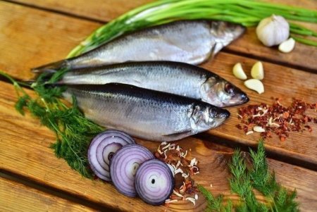Иваси, скумбрия,сельдь