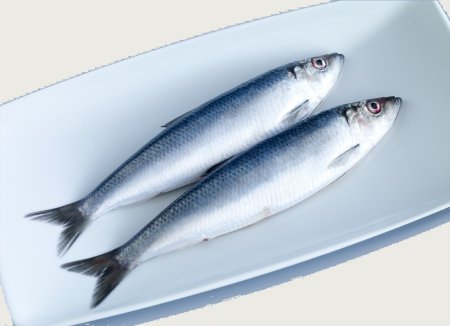 Сельдь атлантическая свежемороженая