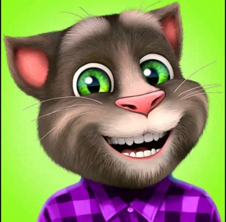 Игра talking Tom Cat (2010)