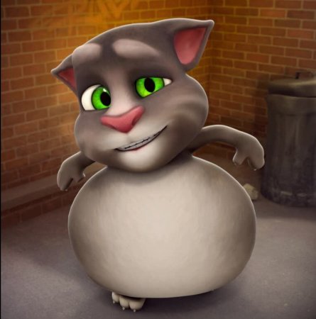 Talking Tom Cat