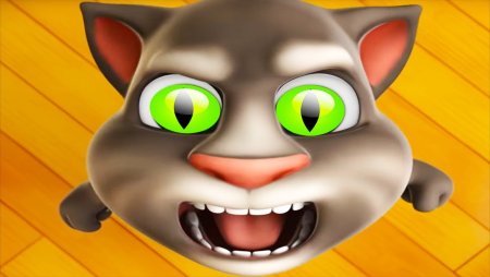 Talking Tom