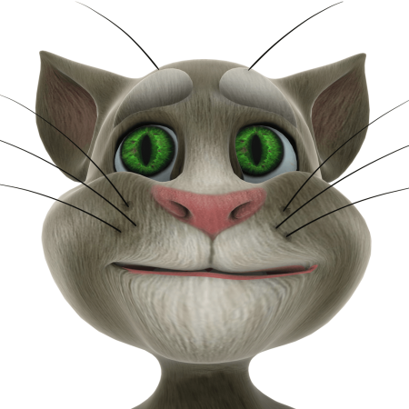 Talking Tom 2010
